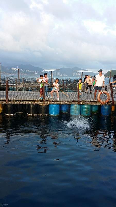 Pengenalan kepada Warisan Budaya Tidak Ketara Hong Kong: [Teknik Pembiakan Ikan Laut]